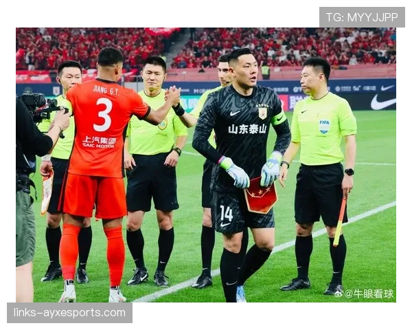裁判判罚标准：犯规与点球判定的五个关键依据